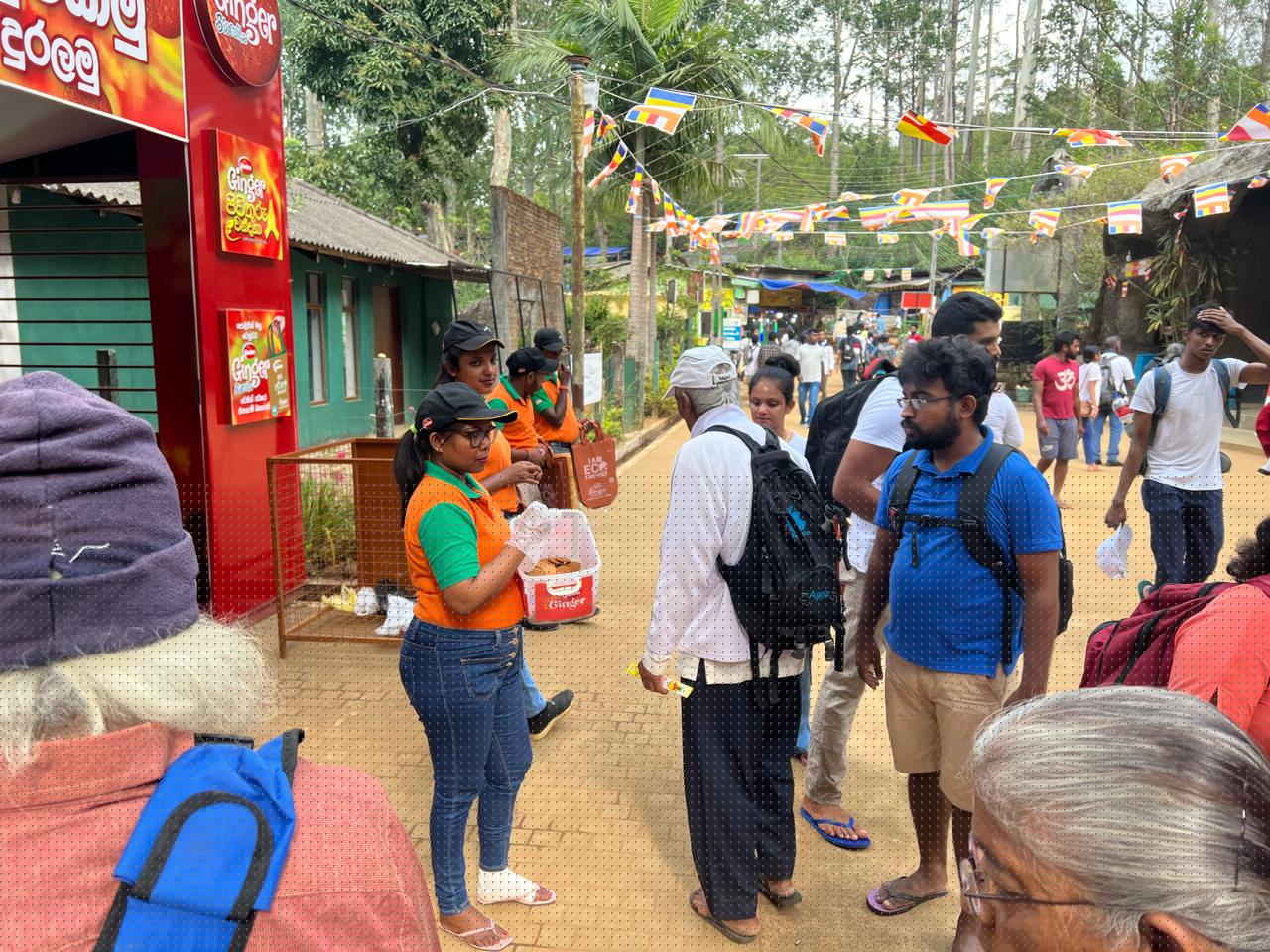 Ginger Sri Pada - Image 2